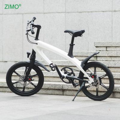 China 2021 36V 240W Steel Pedal Assist Electric Bike Bicycle, China Cheap Electric Bike for sale