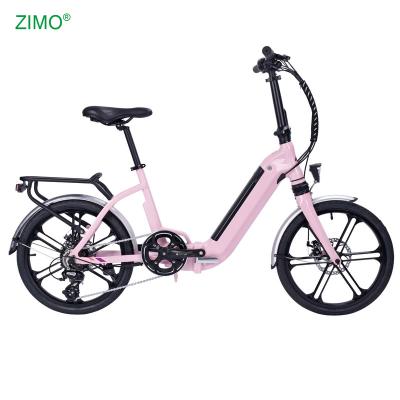 China 2021 New 48V 250W Wholesale Aluminum Alloy Pedal Assist Folding Electric Bicycle, Popular Foldable Electric Bike for sale