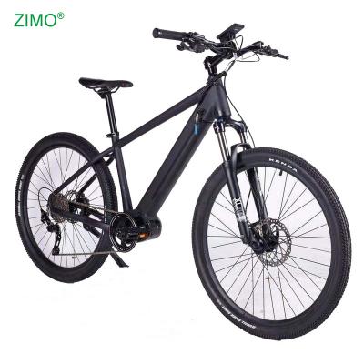 China 2021 Popular Aluminum Alloy Pedal Assist 36V 250W Electric Mountain Bike For Adult, E-mountain Bike For Sale for sale