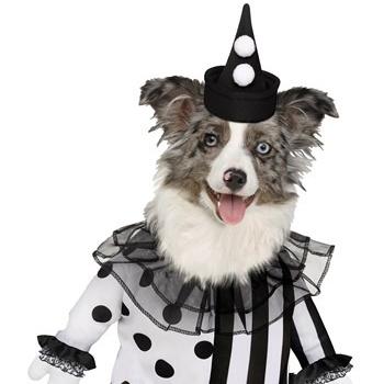 China Clown Pet Killer Costume from CLASSICS for sale