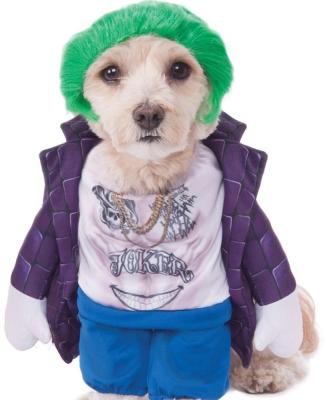 China PC0078 Sustainable Suicide Squad The Joker Costume For Pets Dog Costume With Wigs for sale