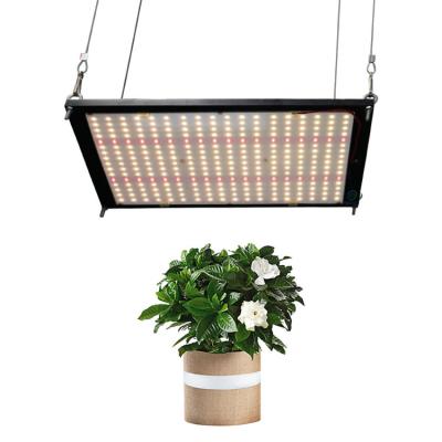 China FLOWER Free Shipping Meijiu Qb288 Lm301H 120W Led Horticulture Light , Epistar 660NM Led Grow Light UFO Samsung 150W 180W for sale