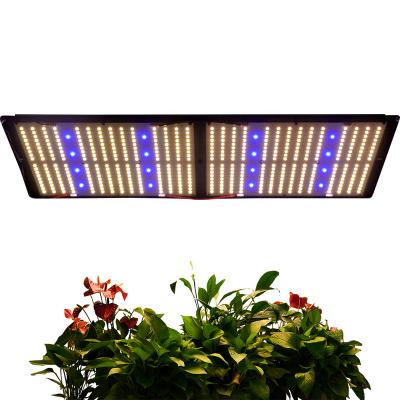 China Seed Starting Meijiu QB288 240W Led, Samsung LM301H LM301B Blue Mix 460NM Led Hydroponic Vertical Cultivating Veg Big Bud Grow Light/ for sale