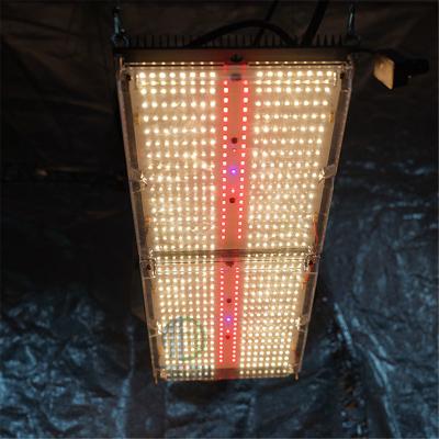 China Seed Starting Hot Selling Meijiu 240W 660Nm IR Lampshades Side UV Led Grow Light, Samsung LM301H IR 660NM 730NM 395NM UV Led Grow Light for sale