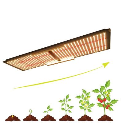 China Meijiu 240W lm301H lm301B 660nm 240 watt MEIJIU QB288 Full Red Far IR Panel Meiju Samsung Led Grow Light For Indoor Growing for sale