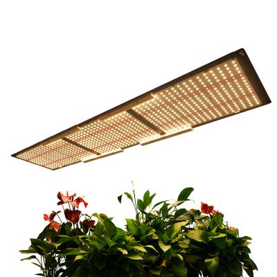 China Meijiu Qb288 Indoor Starting Commercial Seed Led Grow Light 320W Watt , Dimble Indoor Plant Lights Samsung Led Grow Hydroponic for sale