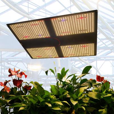 China Seed Starting High Efficiency Shenzhen Mejiu Hydroponic Grow Light , Full Dimmable Greenhouse Indoor Cob Led Grow Light for sale