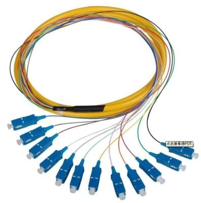 China Customized 12 Core Fiber Optic Distribution Pigtail Manufacturer for sale