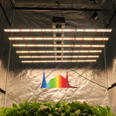 China Seed Seed Growing lm301h 1000w Vertical Agricultural Indoor Plants Grow Light Led Grow Light Full Spectrum Led Light Bar Grow Lights For Indoor Plant for sale