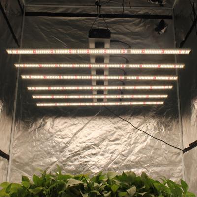 China Seed starting 720 watt 1000watt led grow light bar led grow light ip65 led grow light hydroponic for indoor plants for sale