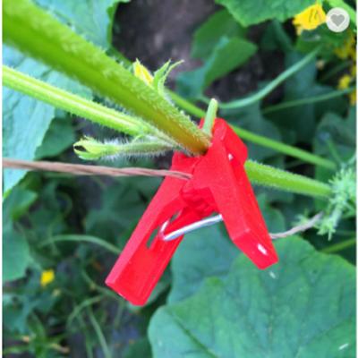 China Mesh Plastic Cucumber Support Agricultural Clip for Greenhouse Tomato Grafting for sale