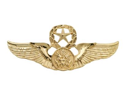 China High Quality Lapel Pin Badge Custom Metal Gold South America Pilot flies Pin Badge for sale