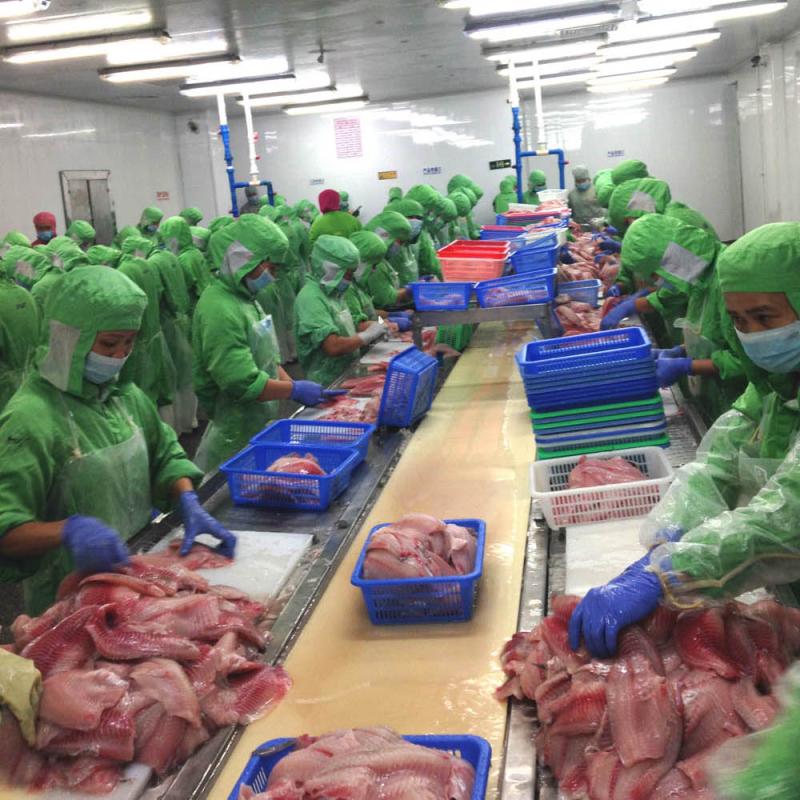 Verified China supplier - Eastern United Fish Co., Ltd.