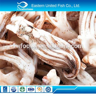 China Nutritious New Arrival Peruvian Squid Tentacles Frozen Giant Squid Tentacles for sale