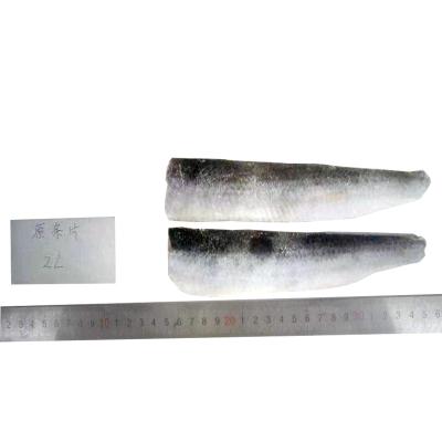 China Pacific Frozen Frozen Herring Fillet for sale