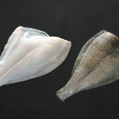 China Hot Sale Export Frozen Arrow Tooth Flounder ATF Fillet JELLY for sale