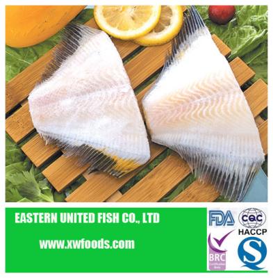 China FROZEN Frozen Yellowfin Unique Fish for sale