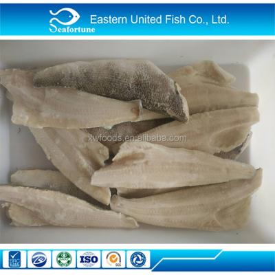 China New Product Cheap Frozen Whole Round Crocodile Icefish FROZEN for sale