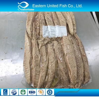 China FROZEN Skipjack Precooked Precooked Bonito Precooked Bonito Precooked Mackerel for sale