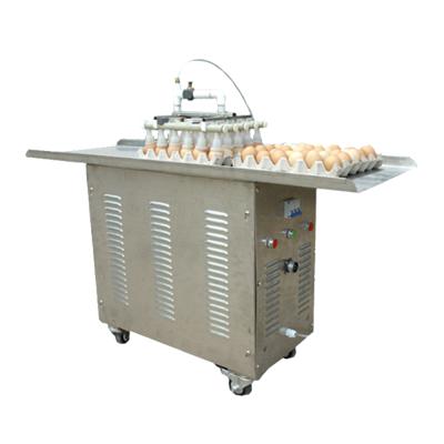 China Egg Processing Plant Automatic Egg Lifter Vacuum Egg Pusher for Egg Processing Machine Factory for sale