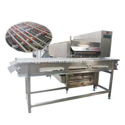 China Deep boiled egg processing industry factory price and peeled egg peeling processing line, chicken egg boiling and peeling line for sale