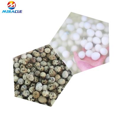 China Hot sale quail egg peeling machine quail egg shell peeling machine/quail egg peeling machine/boiled quail egg boiling and peeling machine for sale