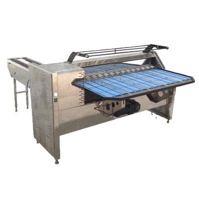 China Automatic Canning Factory Egg Grading Plant With Chicken Egg Seal for sale