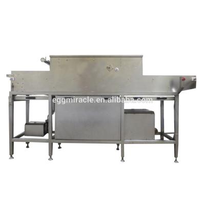 China Automatic Egg Washing Cannery Chicken Cleaning Machine, Egg Washing Equipment For Sale for sale