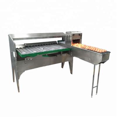 China High quality bakery egg grading machine, egg weight grader, egg weight grading equipment for sale