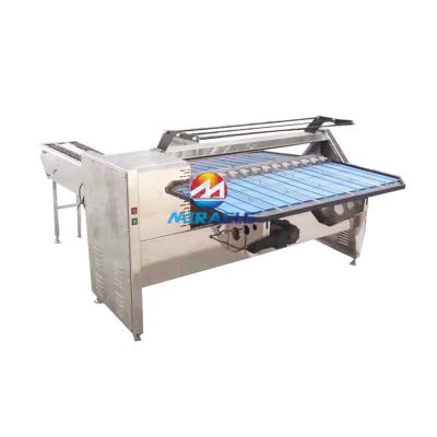 China Commercial Automatic Bakery Egg Grading Machine Egg Grading Machine Price for sale