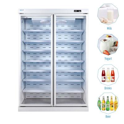 China Vertical Freezer Upright Display Cooler Refrigeration Equipment Double Glass Door Fridge for sale