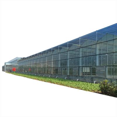 China Stable Structure Low Price Chinese Glass Greenhouse Garden Agriculture For Agriculture Or Aquaculture for sale