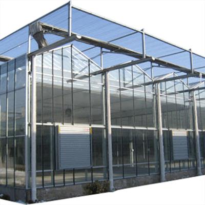 China Factory Supply New Design Stable Durable Polyethy Farm Tunnel Plastic Clear Greenhouse Frame Frame Film With Hydroponic System for sale