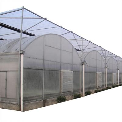 China Multi-span PE plastic film PE PO agricultural tunnel greenhouse with hydroponics system cheap price for sale