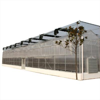 China Stable Structure Trust Greenhouse Manufacturers Export Polytunnel Dome Film Agricultural Greenhouse for sale