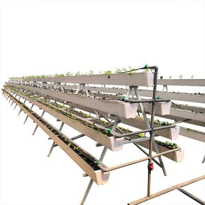 China PVC Commercial Vertical Hydroponic Indoor Canal Hydroponic Greenhouse Growing Systems Greenhouse Lettuce For Sale for sale