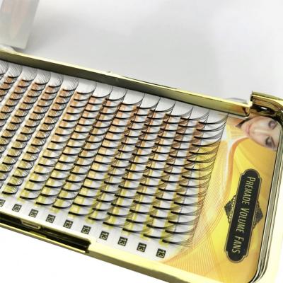 China Comfortable volume lash tray because c d j curl seller pre made volume fans eyelash extensions different lashes for sale