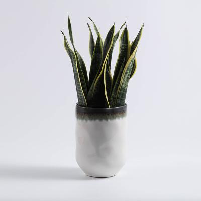 China Nordic Minimalist Style Elegant Home Decoration Planter Flower Plant Indoor Ceramic Pot for sale