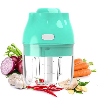 China Hot Sales 250ml Kitchen Tool Garlic Crusher Mini Electric Chopper USB Rechargeable Garlic Refilling Crusher for sale