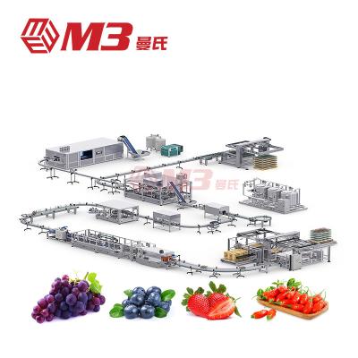 China Hot sale stainless steel SUS304/316 M3 strawberry buleberry/wolfberry/grape processing line processing production line packaging machine for sale