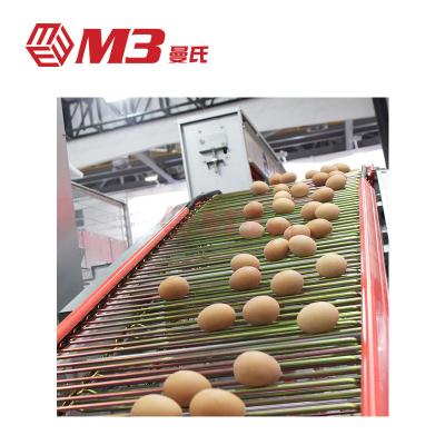 China New Style 4 M3 2022 Farms Automatic Row Water Egg Collection Layer Drinking Cage For Chicken Farm for sale