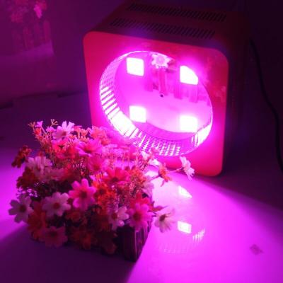 China Patent Product High Power LED Plant Grow Light 300w 8 Bands Full Spectrum for sale