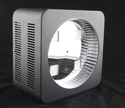 China 380nm - 840nm COB Full Spectrum LED Grow Lights 300 watt With Lens + Reflectors for sale