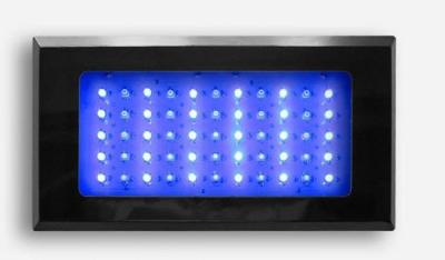 China 165w Dimmable Full Lamp LED saltwater aquarium lighting 55x3 Watt For Coral Growing for sale