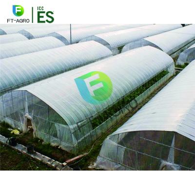 China Planting Vegetables And So On Single Span High Tunnel Greenhouse for sale