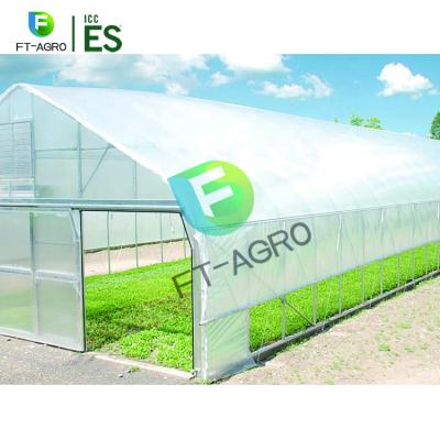 China Planting Vegetables And So On Strong Structure Galvanized Tunnel Greenhouse For Strawberry Grape Raspberry, Agricultural Green Houses for sale