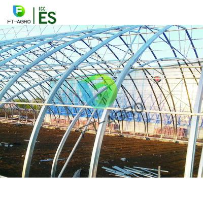 China Seeding Nursery Greenhouse Mini Mushroom Heating Walled Sunlight Greenhouse for sale