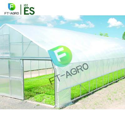 China Planting Vegetables And So On Single Span Plastic Film Greenhouse For Fruits And Cherry Trees for sale