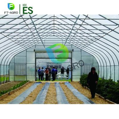 China Stable structure easily assembled film for greenhouse large size transparency and perfect toughness plastic cover for sale