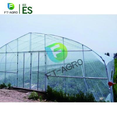 China Planting Large Tunnel PE Glass Vegetables And So On Simple Span Greenhouse Agriculture Plastic Green House for sale